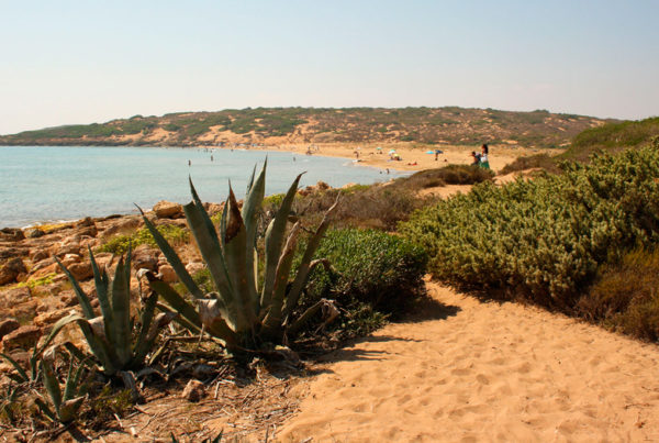 Marinelli beach Vendicari Reserve