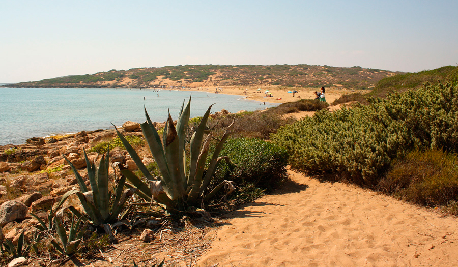 Oasis of Vendicari Nature Reserve- A local’s guide to wild beaches and untouched nature