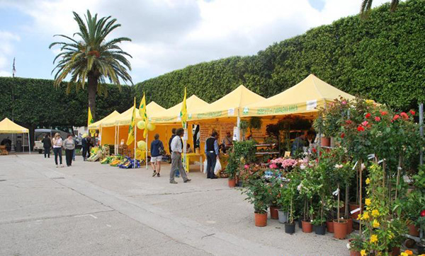 Market at Villa Communale- Guide to Noto