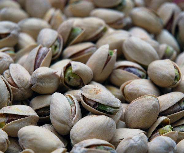 Pistacchi-wikipedia
